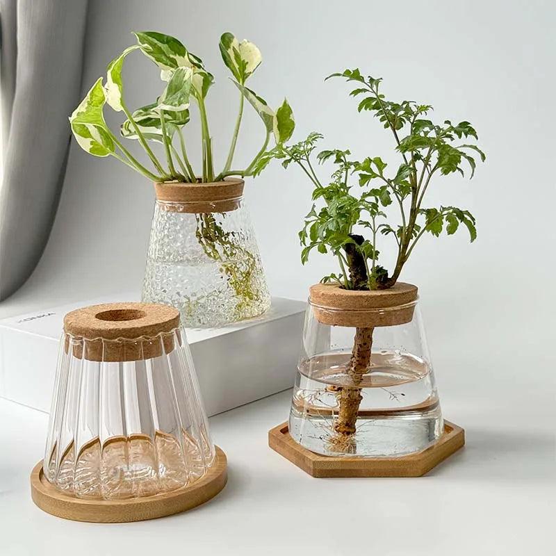 Without Soil Glass Vase
Stylish Hydroponic Glass Vase
Small Space
Room Decor Hydroponic Glass Jar
Modern
Minimalist
Hydroponics
Hydroponic Vase
Home Decor Hydroponic Planter
Grow Plants
Greenery
Glass
Easy Care
Dorm
Apartment