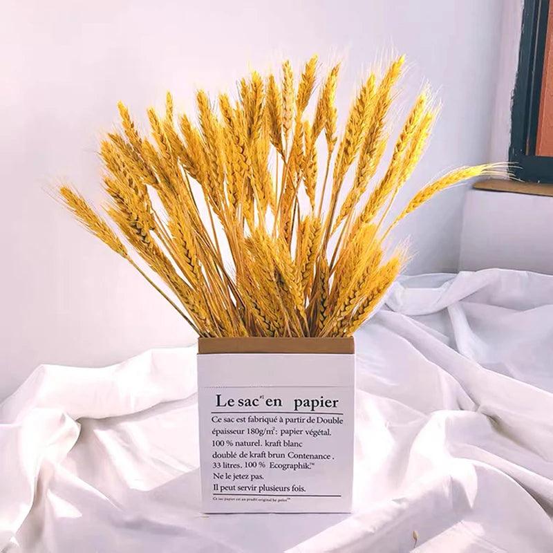 Winter Decor Sustainable
Versatile
Soft
Natural Home Decor
Natural Beauty
Hustic
Home Decor Cozy
Floral Arrangements Elegant
Fall Decor
Eco-Friendly
Dried Wheat Grass
DIY Projects
Boho Natural Texture