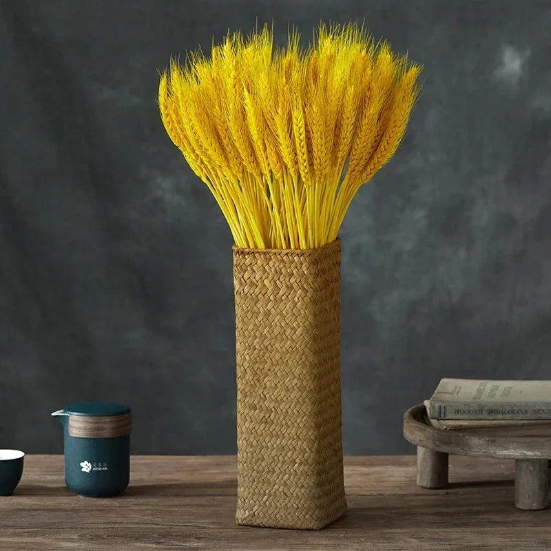Winter Decor Sustainable
Versatile
Soft
Natural Home Decor
Natural Beauty
Hustic
Home Decor Cozy
Floral Arrangements Elegant
Fall Decor
Eco-Friendly
Dried Wheat Grass
DIY Projects
Boho Natural Texture
