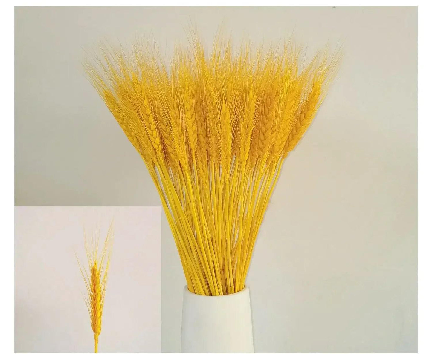Winter Decor Sustainable
Versatile
Soft
Natural Home Decor
Natural Beauty
Hustic
Home Decor Cozy
Floral Arrangements Elegant
Fall Decor
Eco-Friendly
Dried Wheat Grass
DIY Projects
Boho Natural Texture