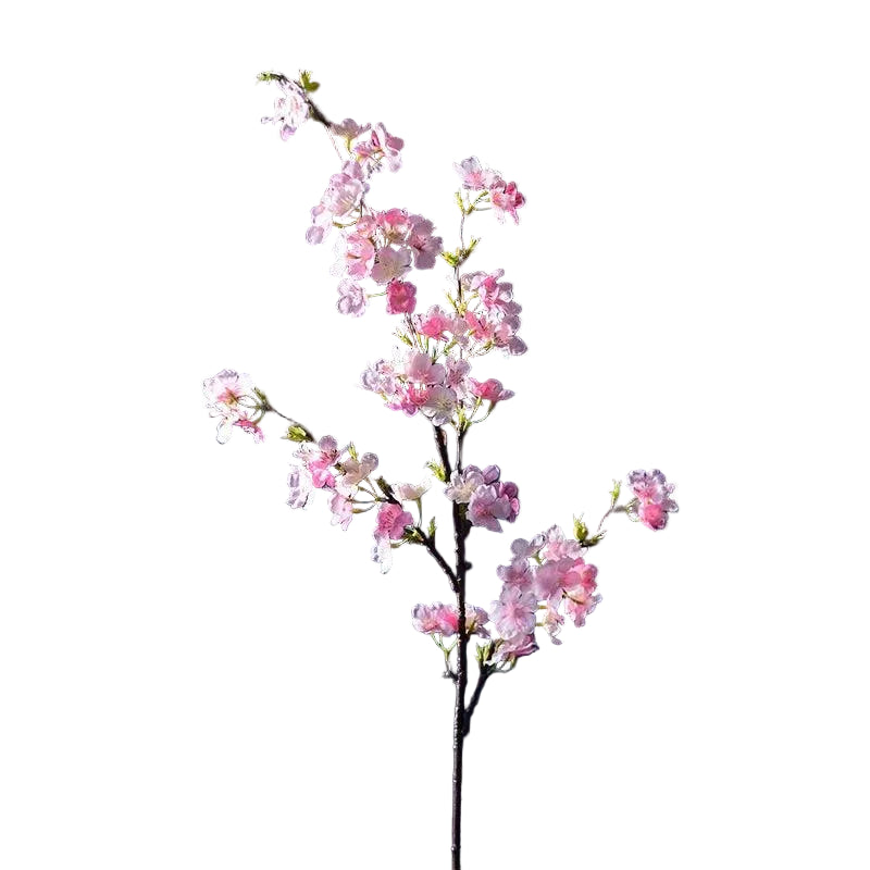 Weddings
Timeless
Spring Decor
Soft Pink
Serene
Romantic
Parties Delicate
Home Decor Realistic Flowers
Home Decor Cherry Blossom Branches
Cherry Blossom Branches
Bedroom Decor Versatile
Affordable
clHouse & Home