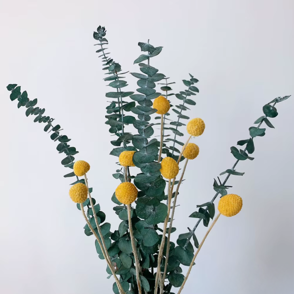 "Morning Gather" dried gypsophila and eucalyptus bouquet in Amber Grove — warm amber craspedia, eucalyptus and gypsophila stems, loose natural dried botanical arrangement