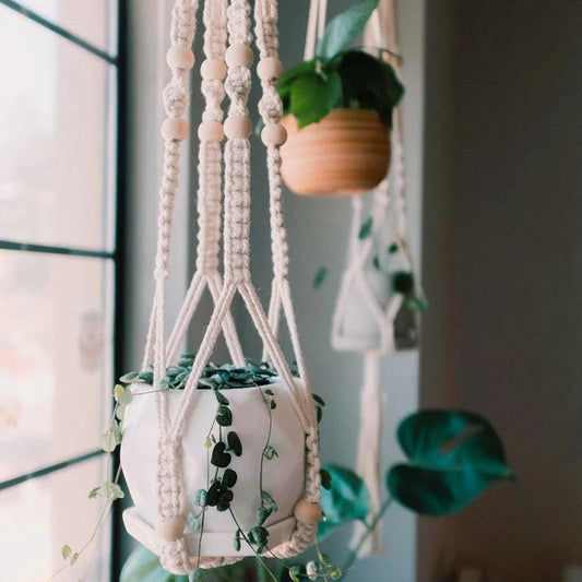 Unique

Sustainable

Succulents

Small Plants Macrame Wall Hanging

Plants Indoor Plant hanger

Macrame Wall Hanging

Macrame Plant Hanger

Love Indoor Plant Hanger

Home Decor Macrame Hanging Planter

Home Decor Macrame Plant Holder

Handmade

Boho

Bohemian