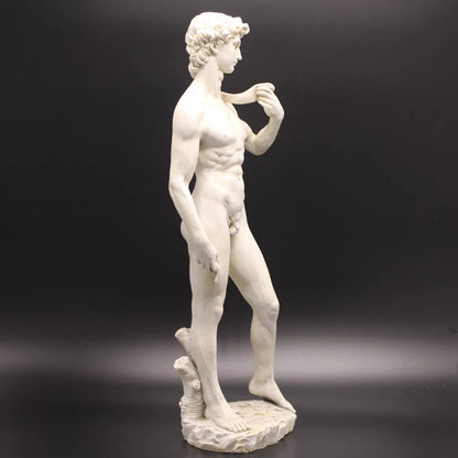 clHouse & Home
David statue 

Michelangelo replica 

Renaissance home decor

Resin character figurine

Office desktop sculpture

Classical art ornaments

Luxury lounge accessories

European style statues

Artistic housewarming gift