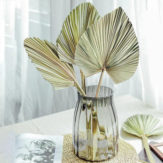 Natural Palm Fan Leaf Decoration
