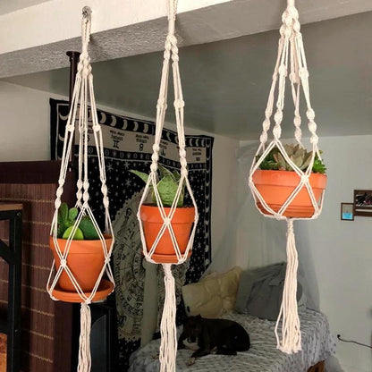 Unique

Sustainable

Succulents

Small Plants Macrame Wall Hanging

Plants Indoor Plant hanger

Macrame Wall Hanging

Macrame Plant Hanger

Love Indoor Plant Hanger

Home Decor Macrame Hanging Planter

Home Decor Macrame Plant Holder

Handmade

Boho

Bohemian