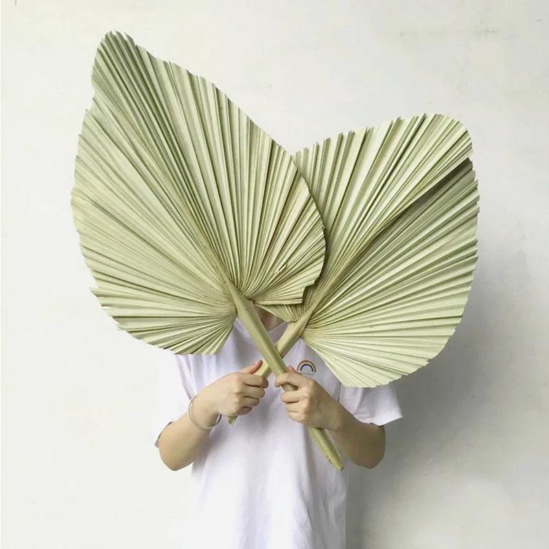 Warmth

Unique

Tropical Oasis

Tropical

Texture

Sustainable

Relaxed Atmosphere

Palm Leaf Wall Decor

Palm Leaf Wall Art

Palm Leaf Fan

Palm Leaf Arrangement

Natural

Large

Home Decor

Gift

Eye-Catching

Boho Decor

Boho

