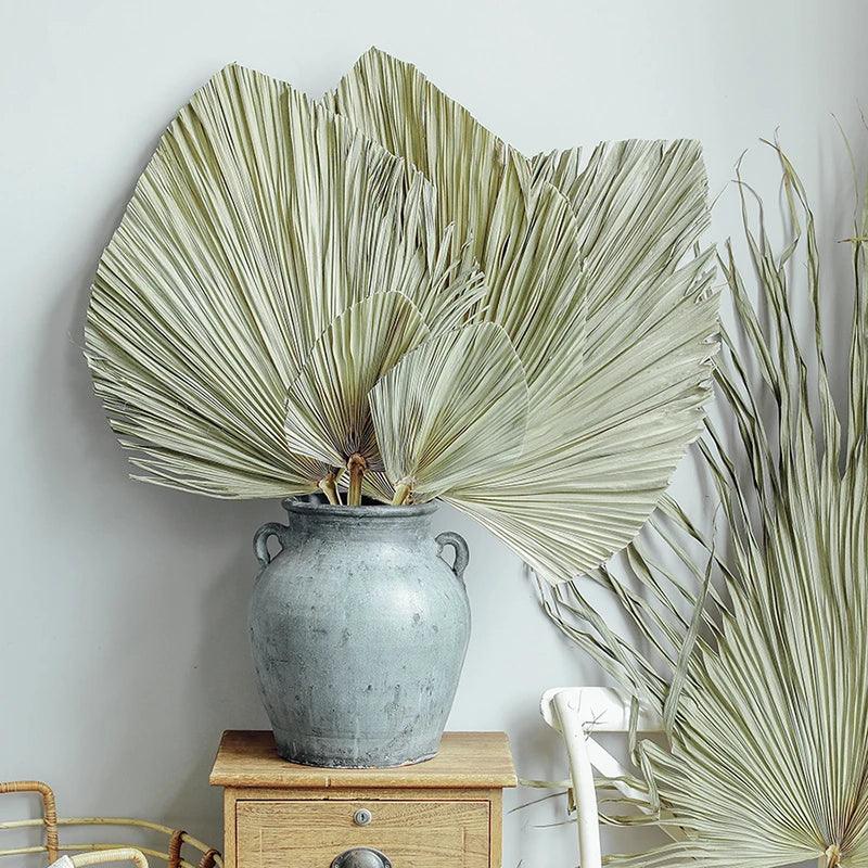 Warmth

Unique

Tropical Oasis

Tropical

Texture

Sustainable

Relaxed Atmosphere

Palm Leaf Wall Decor

Palm Leaf Wall Art

Palm Leaf Fan

Palm Leaf Arrangement

Natural

Large

Home Decor

Gift

Eye-Catching

Boho Decor

Boho

