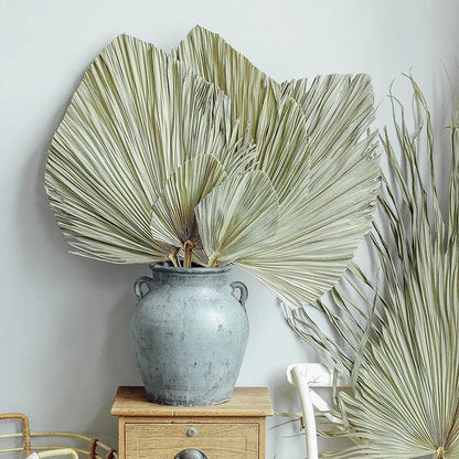 Warmth

Unique

Tropical Oasis

Tropical

Texture

Sustainable

Relaxed Atmosphere

Palm Leaf Wall Decor

Palm Leaf Wall Art

Palm Leaf Fan

Palm Leaf Arrangement

Natural

Large

Home Decor

Gift

Eye-Catching

Boho Decor

Boho

