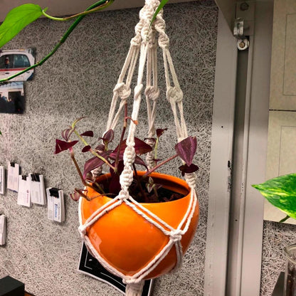 Unique

Sustainable

Succulents

Small Plants Macrame Wall Hanging

Plants Indoor Plant hanger

Macrame Wall Hanging

Macrame Plant Hanger

Love Indoor Plant Hanger

Home Decor Macrame Hanging Planter

Home Decor Macrame Plant Holder

Handmade

Boho

Bohemian
