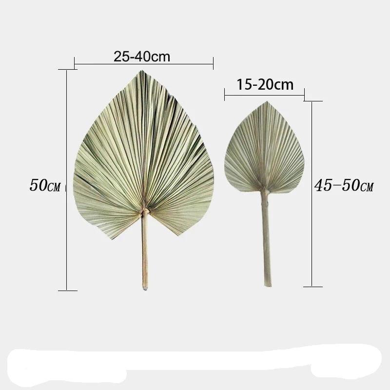 Warmth

Unique

Tropical Oasis

Tropical

Texture

Sustainable

Relaxed Atmosphere

Palm Leaf Wall Decor

Palm Leaf Wall Art

Palm Leaf Fan

Palm Leaf Arrangement

Natural

Large

Home Decor

Gift

Eye-Catching

Boho Decor

Boho

