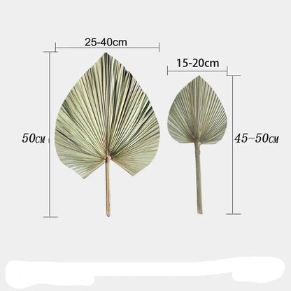 Warmth

Unique

Tropical Oasis

Tropical

Texture

Sustainable

Relaxed Atmosphere

Palm Leaf Wall Decor

Palm Leaf Wall Art

Palm Leaf Fan

Palm Leaf Arrangement

Natural

Large

Home Decor

Gift

Eye-Catching

Boho Decor

Boho

