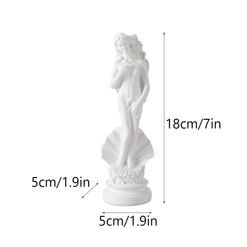 clHouse & Hme
Aphrodite statue 

Greek mythology goddess decor

Goddess of beauty figurine

The Birth of Venus sculpture

White resin mythology ornaments

Bookshelf art figurines

Art enthusiast gift ideas

Classical Greek desktop decor

Minimalist goddess statue