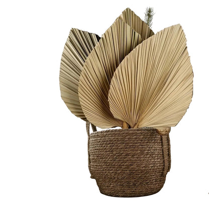  "Fan Palm" dried palm spear leaf bundle in Natural Tan — fan-shaped golden palm leaves, architectural dried botanical bundle, natural texture