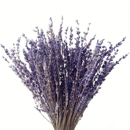 "Lavender Fields" dried lavender bouquet with deep violet stems, against a white background