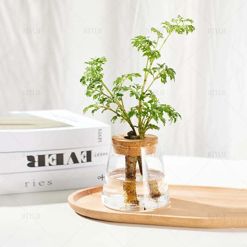Without Soil Glass Vase

Stylish Hydroponic Glass Vase

Small Space

Room Decor Hydroponic Glass Jar

Modern

Minimalist

Hydroponics

Hydroponic Vase

Home Decor Hydroponic Planter

Grow Plants

Greenery

Glass

Easy Care

Dorm

Apartment