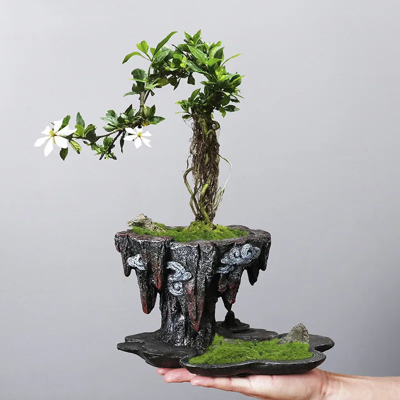 Floating Rock" Bonsai Planter — Small and Large sizes comparison