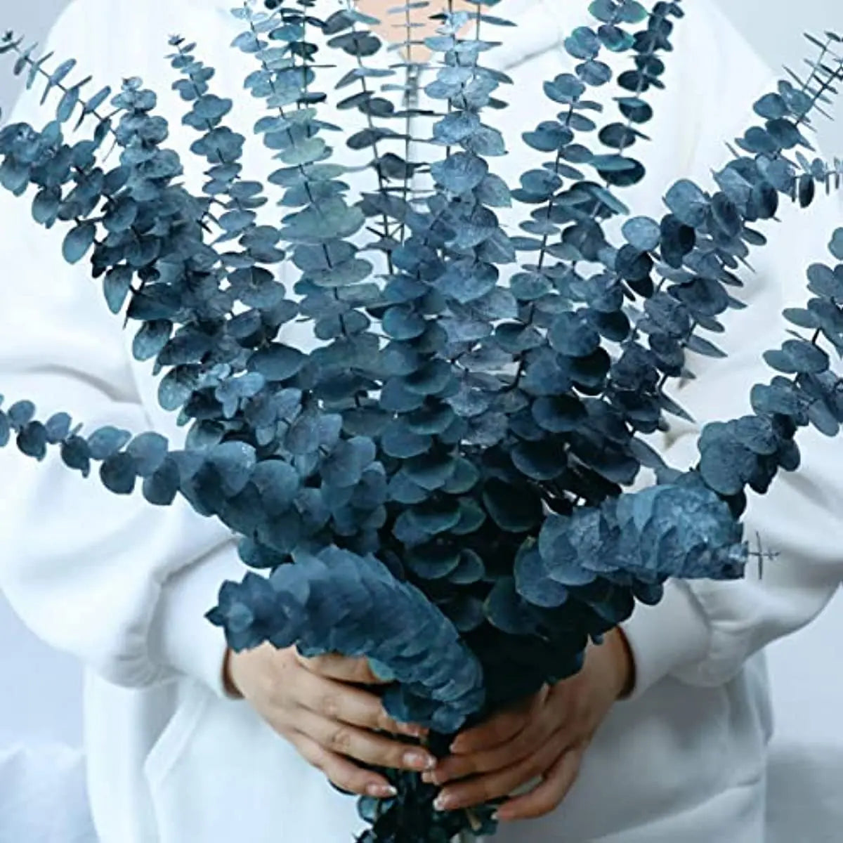 "Colour Bloom" preserved eucalyptus branch in Blue — deep teal blue preserved eucalyptus stems, natural flexible botanical decoration