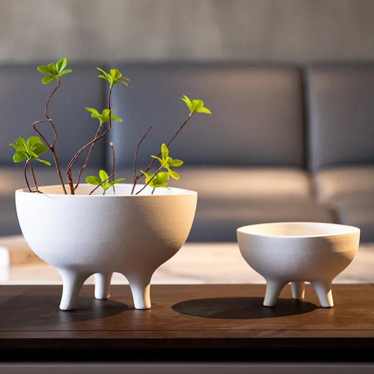 Whimsy Focal Point

Versatile

Succulents Tripod

Stylish

Small Plants Modern

Plant Pot Unique

Minimalist

Kitchen Decor

Home Decor

Fruits

Fruit Bowl

Eye-Catching

Conversation Starter

Ceramic Tripod Fruit Bowl