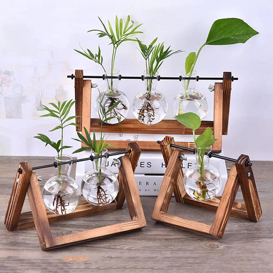Flore intemporelle : terrarium hydroponique vintage en verre et bois