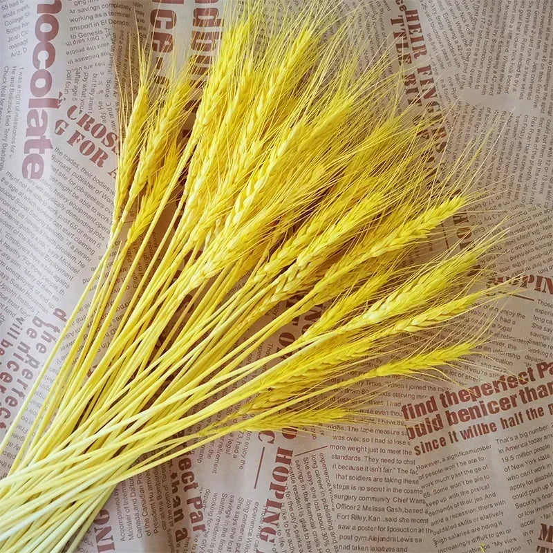 Natural dried flowers

Rabbit tail grass UK

Dried wheat stalks decor

Boho wedding flowers

Rustic home accessories

Everlasting botanical display

Lagurus grass stems

Christmas floral decorations

Dried gem grass