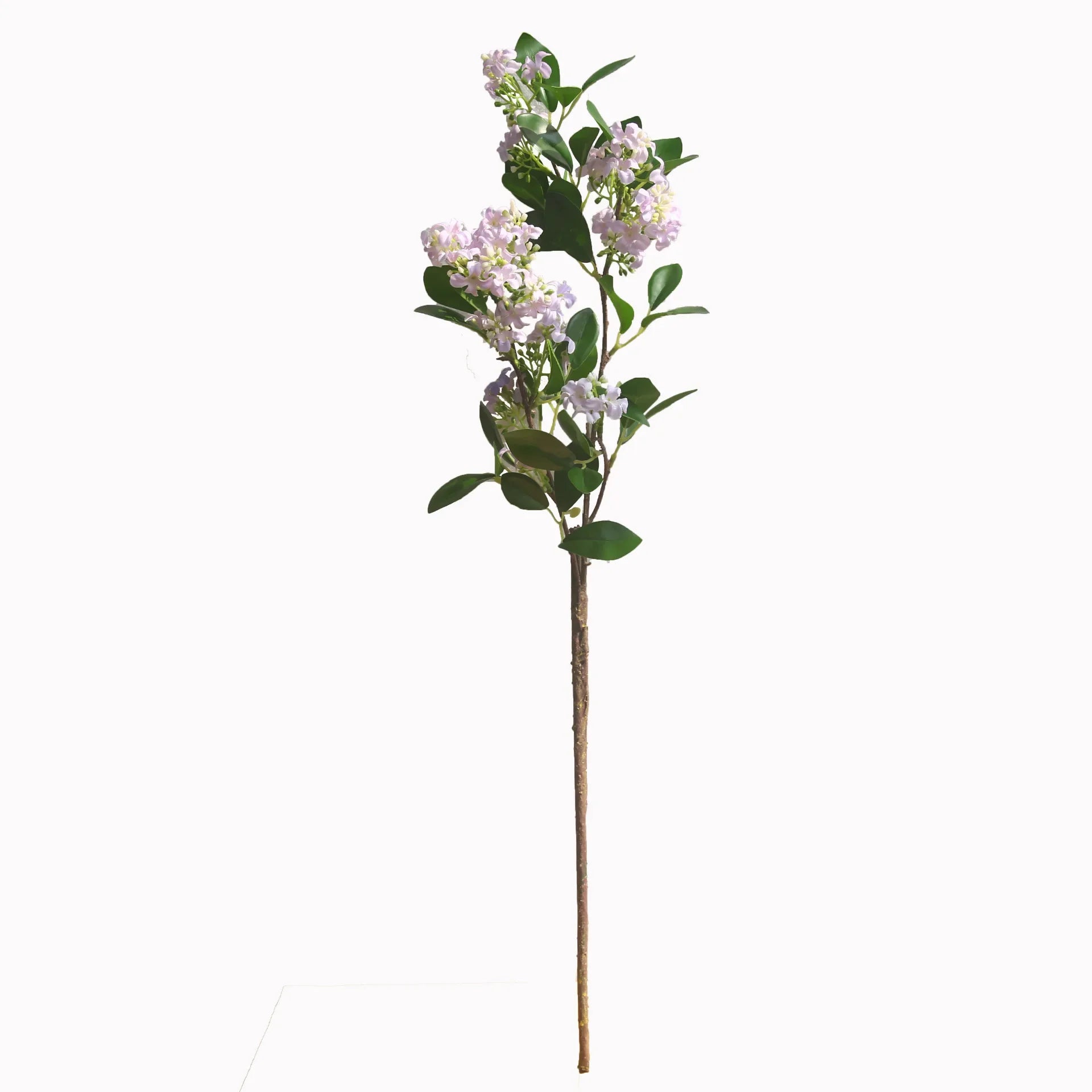 72cm Artificial Murraya branch

Fake Orange Jasmine flowers

Tall artificial greenery UK

Wedding floral decorations

Realistic silk flower stems

Living room botanical ornaments

Large faux branch for vase

Artificial Murraya paniculata

Maintenance-free home flowers
