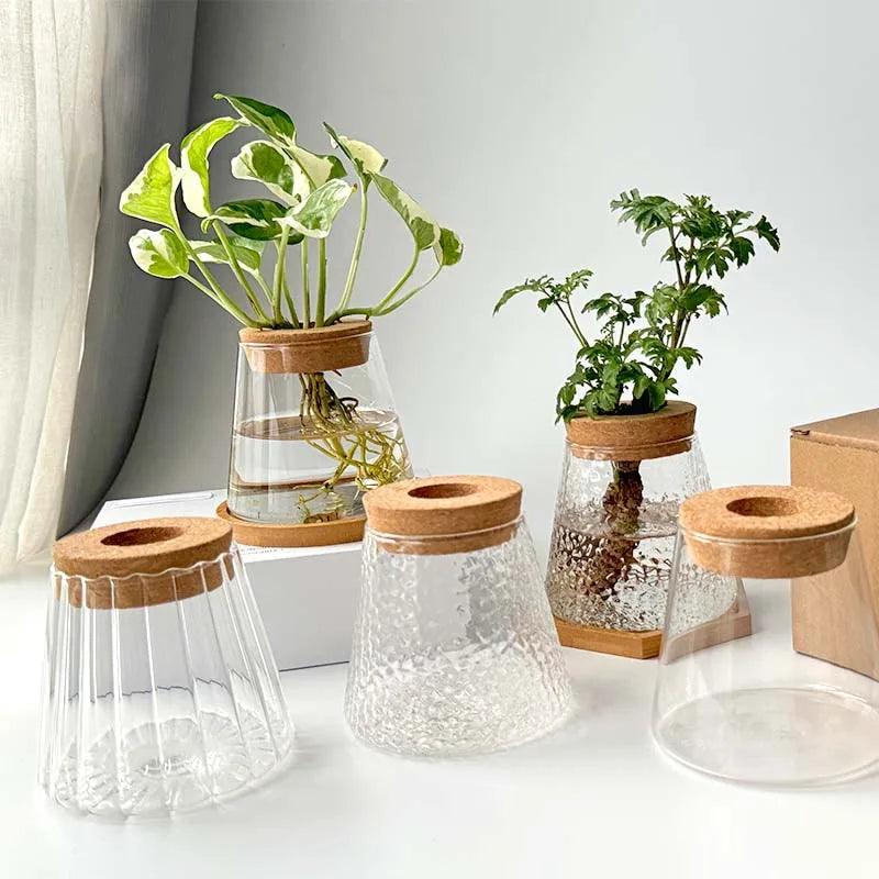 Without Soil Glass Vase

Stylish Hydroponic Glass Vase

Small Space

Room Decor Hydroponic Glass Jar

Modern

Minimalist

Hydroponics

Hydroponic Vase

Home Decor Hydroponic Planter

Grow Plants

Greenery

Glass

Easy Care

Dorm

Apartment
