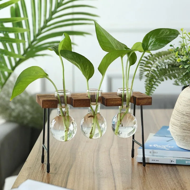 vedant balance

terrarium

tabletop planter

Small Spaces Glass Terrarium Real Plants Nature Low Maintenance Hydroponic Plant Display Indoor Garden Hydroponic Living Wall Hydroponic Plants Home Decor Hydroponic Glass Vase Glass Vase

plant vase

office decor

hydroponic planter

bonsai vase