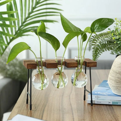 vedant balance

terrarium

tabletop planter

Small Spaces Glass Terrarium Real Plants Nature Low Maintenance Hydroponic Plant Display Indoor Garden Hydroponic Living Wall Hydroponic Plants Home Decor Hydroponic Glass Vase Glass Vase

plant vase

office decor

hydroponic planter

bonsai vase