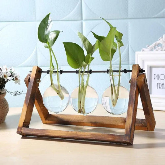 

wooden stand planter

Without Soil Glass Vase

tabletop terrarium

Stylish Hydroponic Glass Vase

Room Decor Hydroponic Glass Jar

retro planter

plant vase

Hydroponics

Hydroponic Vase

hydroponic terrarium

Home Decor Hydroponic Planter

Grow Plants

glass vase

bonsai vase