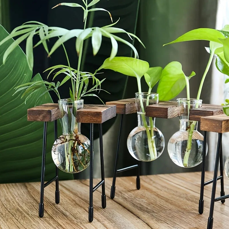 vedant balance

terrarium

tabletop planter

Small Spaces Glass Terrarium Real Plants Nature Low Maintenance Hydroponic Plant Display Indoor Garden Hydroponic Living Wall Hydroponic Plants Home Decor Hydroponic Glass Vase Glass Vase

plant vase

office decor

hydroponic planter

bonsai vase