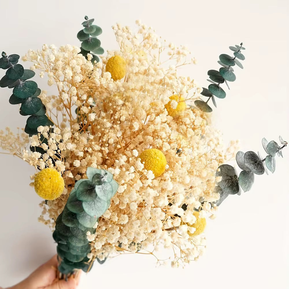  "Morning Gather" dried gypsophila and eucalyptus bouquet in Ivory & Sage — white gypsophila, sage green eucalyptus and craspedia stems, loose natural dried botanical arrangement