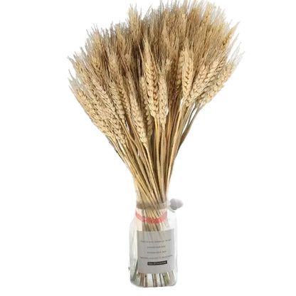  "Harvest Stem" dried wheat bundle displayed in a vase — golden wheat stems arranged as a natural botanical decoration
