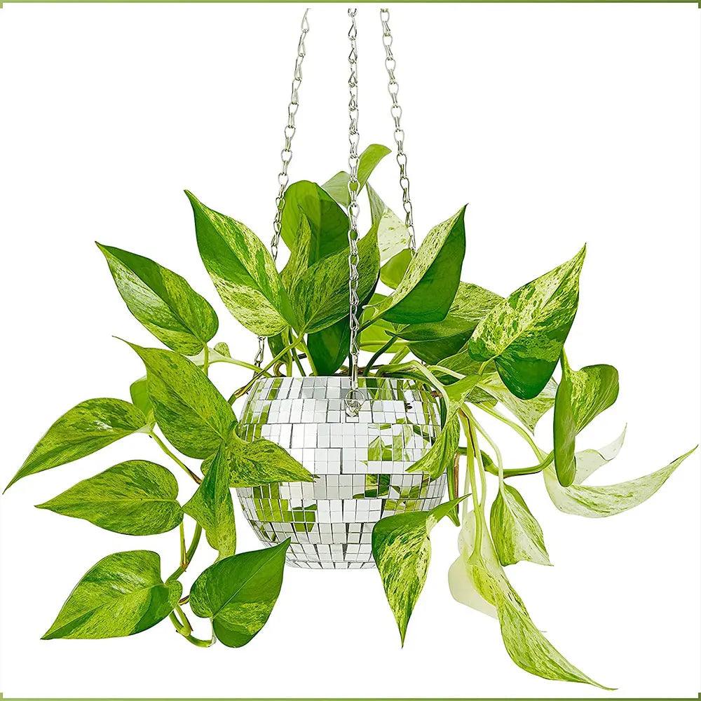 Whimsy

Unique Globe Planter

Succulents

Small Plants

Plant Lovers

Modern

Home Decor

Herbs Glass Globe Planter

Greenery

Globe Shaped Hanging Planter

Gift

Focal Point

Floating Garden

Air Plants Hanging Glass Globe Planter