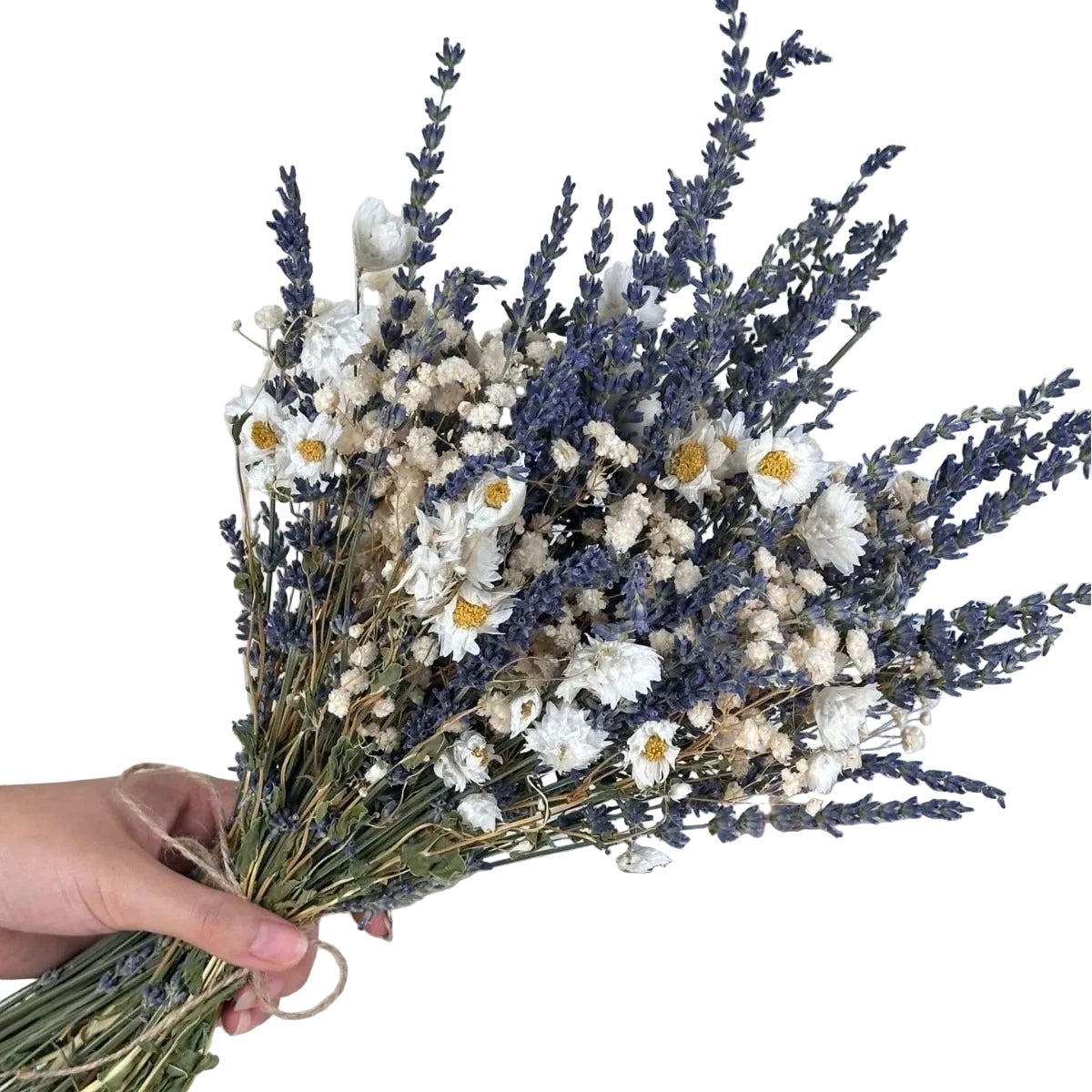 "Wild Bloom" dried mixed flower bouquet in Violet Meadow — purple and lilac dried lavender, daisy and bunny tail stems, natural wildflower arrangement