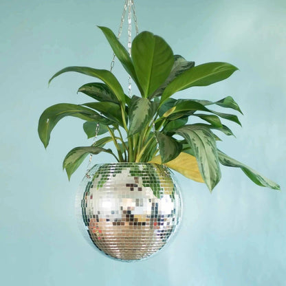 Whimsy

Unique Globe Planter

Succulents

Small Plants

Plant Lovers

Modern

Home Decor

Herbs Glass Globe Planter

Greenery

Globe Shaped Hanging Planter

Gift

Focal Point

Floating Garden

Air Plants Hanging Glass Globe Planter