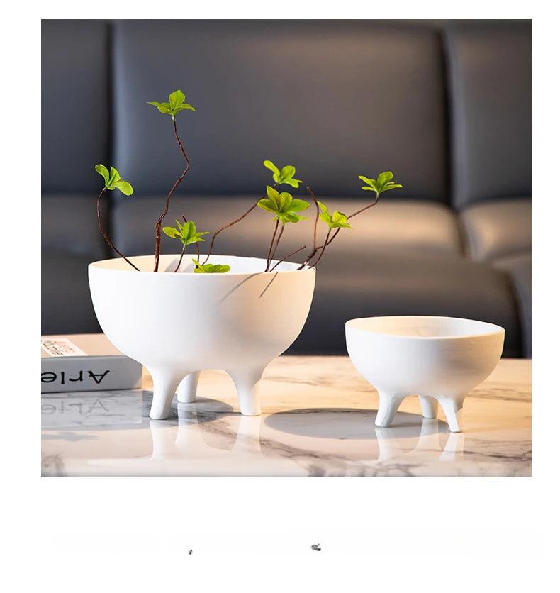 Whimsy Focal Point

Versatile

Succulents Tripod

Stylish

Small Plants Modern

Plant Pot Unique

Minimalist

Kitchen Decor

Home Decor

Fruits

Fruit Bowl

Eye-Catching

Conversation Starter

Ceramic Tripod Fruit Bowl