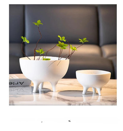Whimsy Focal Point

Versatile

Succulents Tripod

Stylish

Small Plants Modern

Plant Pot Unique

Minimalist

Kitchen Decor

Home Decor

Fruits

Fruit Bowl

Eye-Catching

Conversation Starter

Ceramic Tripod Fruit Bowl
