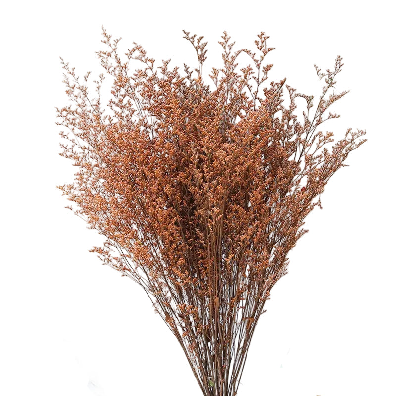 : "Velvet Mist" preserved limonium bouquet in Orange — warm orange limonium clusters in a full cloud-like arrangement, preserved botanical bouquet