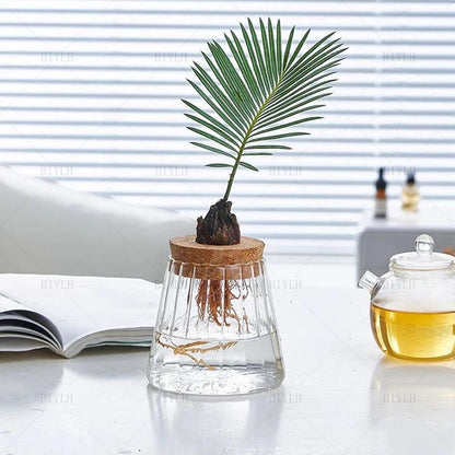 Without Soil Glass Vase

Stylish Hydroponic Glass Vase

Small Space

Room Decor Hydroponic Glass Jar

Modern

Minimalist

Hydroponics

Hydroponic Vase

Home Decor Hydroponic Planter

Grow Plants

Greenery

Glass

Easy Care

Dorm

Apartment