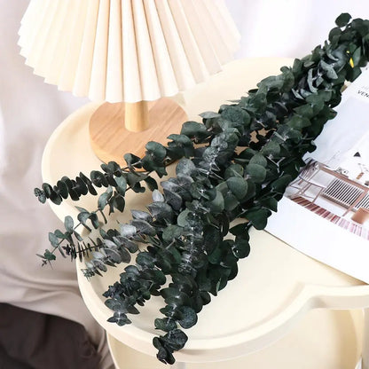  dried eucalyptus bunch in Deep Forest — round silver dollar leaves in deep forest green with natural silver undertones, dried botanical stems