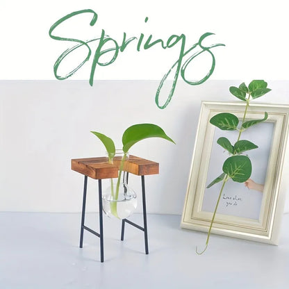 vedant balance

terrarium

tabletop planter

Small Spaces Glass Terrarium Real Plants Nature Low Maintenance Hydroponic Plant Display Indoor Garden Hydroponic Living Wall Hydroponic Plants Home Decor Hydroponic Glass Vase Glass Vase

plant vase

office decor

hydroponic planter

bonsai vase