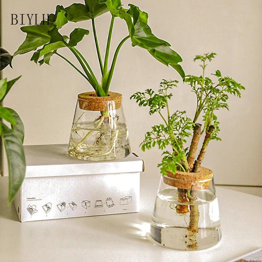Without Soil Glass Vase

Stylish Hydroponic Glass Vase

Small Space

Room Decor Hydroponic Glass Jar

Modern

Minimalist

Hydroponics

Hydroponic Vase

Home Decor Hydroponic Planter

Grow Plants

Greenery

Glass

Easy Care

Dorm

Apartment