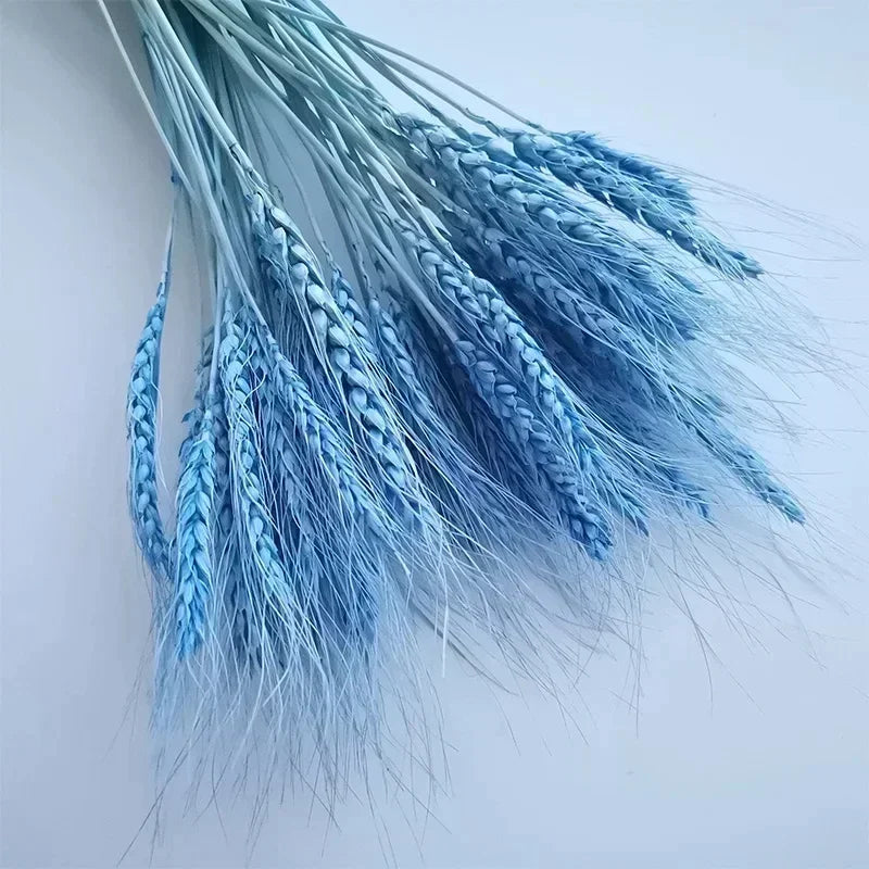 Natural dried flowers

Rabbit tail grass UK

Dried wheat stalks decor

Boho wedding flowers

Rustic home accessories

Everlasting botanical display

Lagurus grass stems

Christmas floral decorations

Dried gem grass