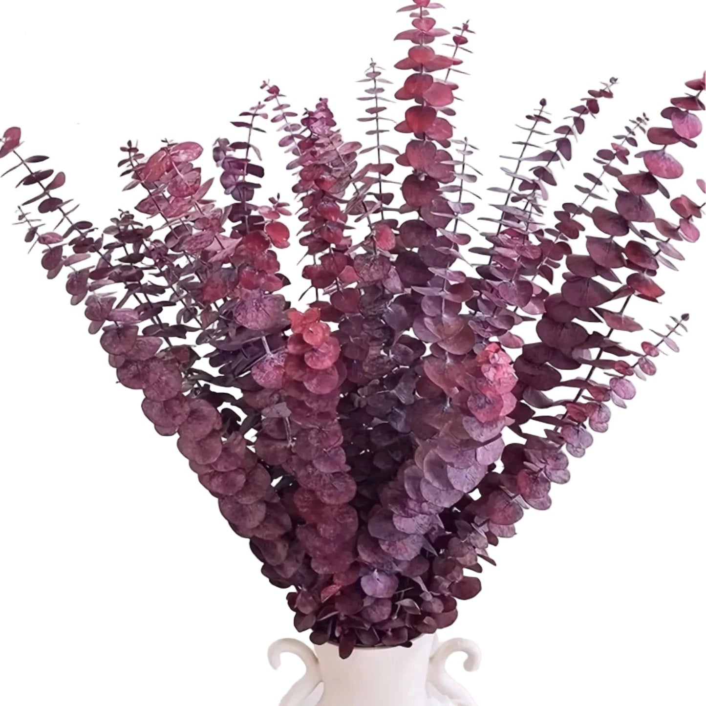 "Colour Bloom" preserved eucalyptus branch in Red — warm burgundy red preserved eucalyptus stems, natural flexible botanical decoratio