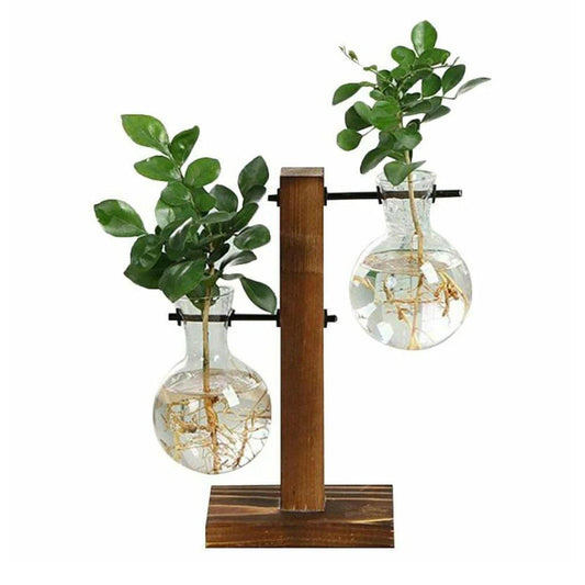 Unique Gift

Sustainable

Stylish

Small Spaces

Simplicity

Serene

Nature Modern Plant Terrarium

Nature

Low-Maintenance

Lant Terrarium

Indoor Plants

Housewarming Minimalist Plant Terrarium

Home Decor Modern Plant Terrarium

Greenery