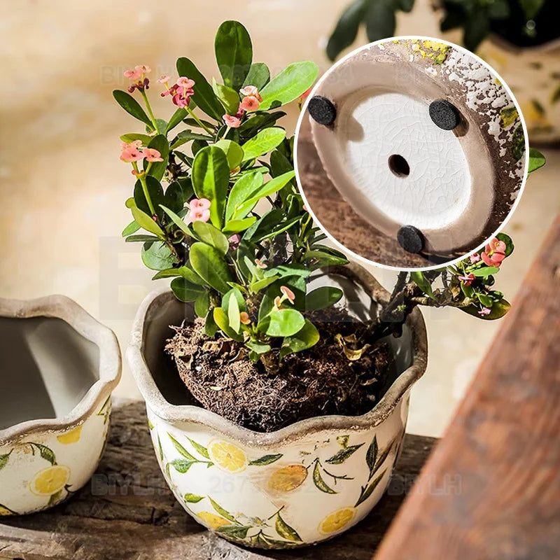  "Lemon Grove" ceramic plant pot with drainage hole detail, shown with a flowering plant, white crackle glaze with yellow lemon and green leaf print, rubber feet on base for surface protection