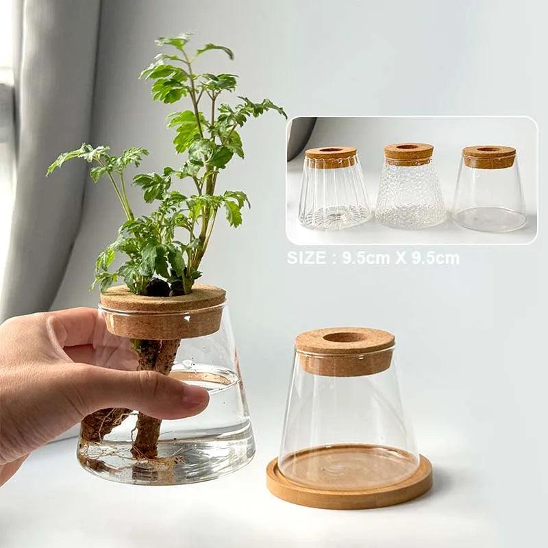 Without Soil Glass Vase

Stylish Hydroponic Glass Vase

Small Space

Room Decor Hydroponic Glass Jar

Modern

Minimalist

Hydroponics

Hydroponic Vase

Home Decor Hydroponic Planter

Grow Plants

Greenery

Glass

Easy Care

Dorm

Apartment