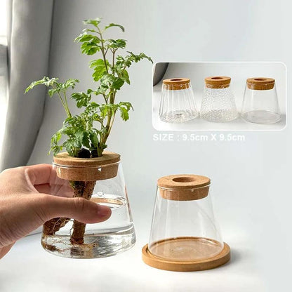 Without Soil Glass Vase

Stylish Hydroponic Glass Vase

Small Space

Room Decor Hydroponic Glass Jar

Modern

Minimalist

Hydroponics

Hydroponic Vase

Home Decor Hydroponic Planter

Grow Plants

Greenery

Glass

Easy Care

Dorm

Apartment