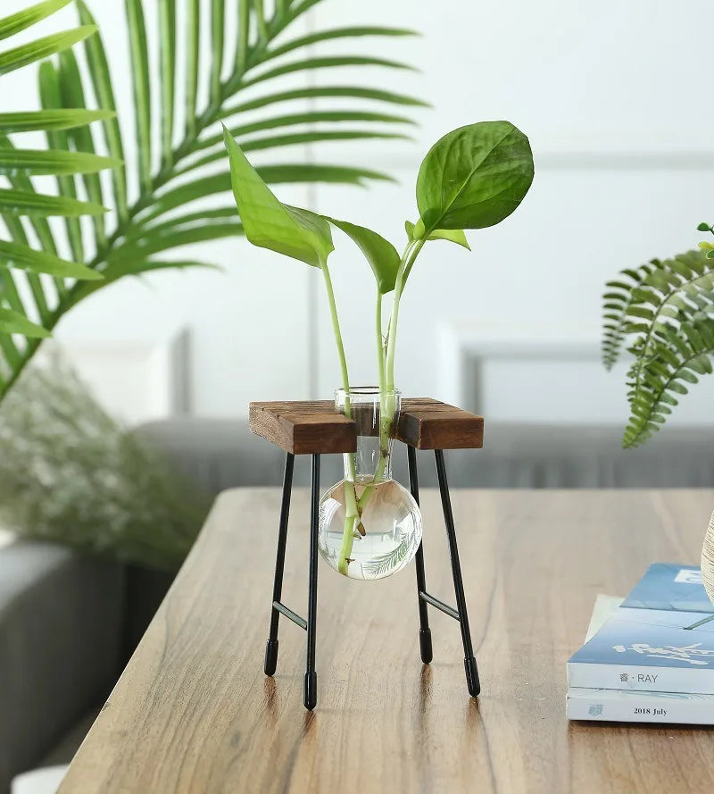 vedant balance

terrarium

tabletop planter

Small Spaces Glass Terrarium Real Plants Nature Low Maintenance Hydroponic Plant Display Indoor Garden Hydroponic Living Wall Hydroponic Plants Home Decor Hydroponic Glass Vase Glass Vase

plant vase

office decor

hydroponic planter

bonsai vase